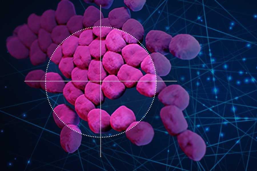 https://healthandscienceafrica.org/wp-admin/update-core.php
